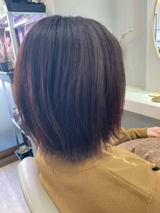 ミディアム 池田 太一のヘアスタイル