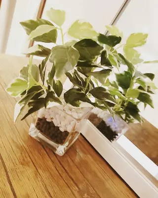 育乳専門店 Tulipeのエステ・リラクイメージ