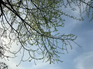 basico  のエステ・リラクイメージ