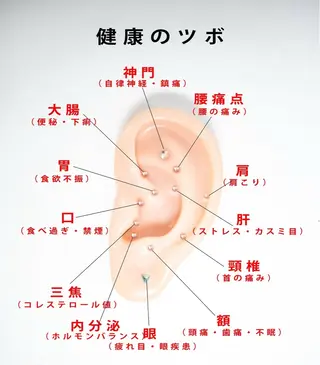 トリコヘアサロン 新井千智のヘアスタイル