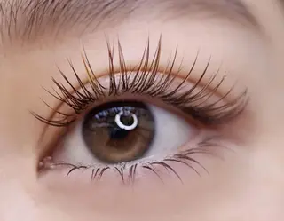 マツエク・マツパ アンジュネス 池袋のマツエク・マツパデザイン