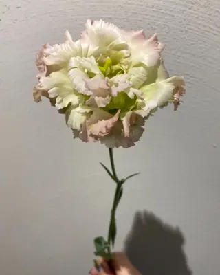 erika /韓国ヘアのヘアスタイル