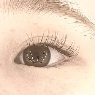マツエク・マツパ Eyelash 大阪梅田 MAXKELLY【アイラッシュ ウメダ マックスケリー】所属・🦋maxkelly .mizuki🦋のマツエク・マツパデザイン