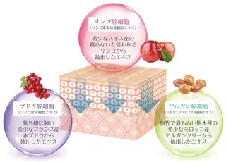 美時雨・bishigure所属・美時雨 bishigureのエステ・リラクイメージ