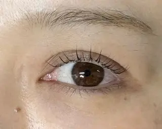 マツエク・マツパ Holus Moriguchiのマツエク・マツパデザイン