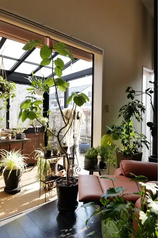 koide  family  studio所属・コイデファミリー スタジオ/小出英明のエステ・リラクイメージ