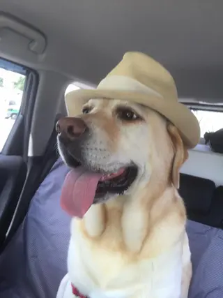 ヘアアレンジ 頭浸浴×似合わせ HolyGrailのヘアスタイル