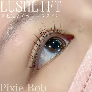 マツエク・マツパ Pixie Bob 🐈‍⬛　位田のマツエク・マツパデザイン