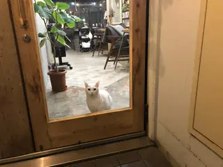 enne hair&organic所属・🌟髪質改善メテオ カラーenne🫧のヘアスタイル