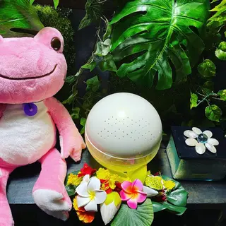 メンズ キッズ バリニーズ ジンバランの眉毛・アイブロウイメージ