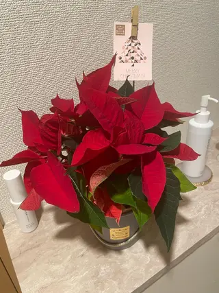 温活痩身×小顔専門店 🎀 SHIORIのエステ・リラクイメージ