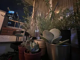 マツエク・マツパ 岡部 梢の眉毛・アイブロウイメージ