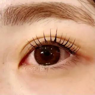 マツエク・マツパ Celeste Venus所属・🧸Celeste Venusのマツエク・マツパデザイン