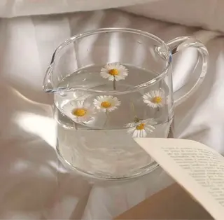 カラー ネイル 𓂃🦢Aurora Swan🌙𓂃のネイルデザイン