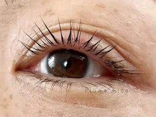 マツエク・マツパ Plume micoのマツエク・マツパデザイン