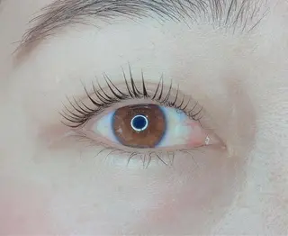 マツエク・マツパ TIARA池袋西口店 店長YASUKA💐のマツエク・マツパデザイン