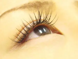 マツエク・マツパ Eyelash 予約受付スキンプロのマツエク・マツパデザイン