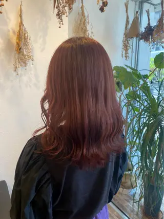 セミロング botan🦖*･ amiのヘアスタイル