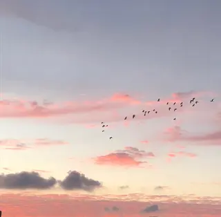 ネイル ネイルズシャトン🪡 ネイリスト齊藤のネイルデザイン