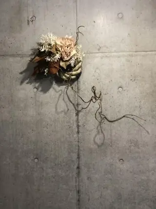 oyanagi 〰️の眉毛・アイブロウイメージ