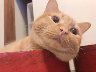 kiki nail 二子玉川のネイルデザイン