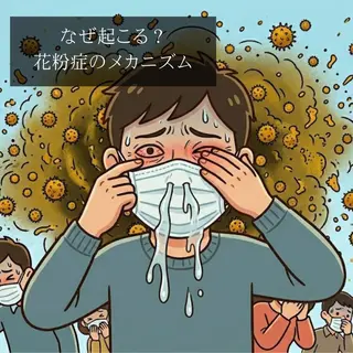 ネイル ホワイトニングサロン nico西葛西店のその他イメージ