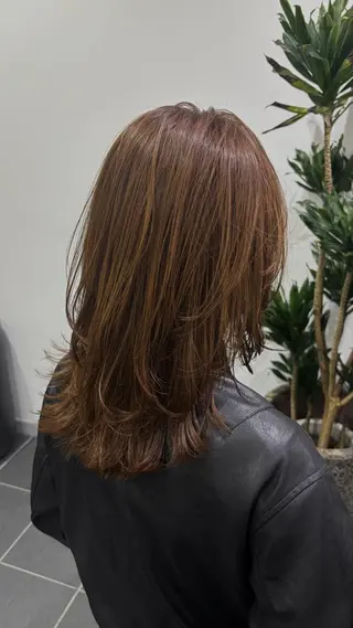 ミディアム 栄/レイヤーカット/ ハッシュカット/モモのヘアスタイル