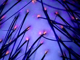 cfr professional artist salon所属・佐野 智史のヘアスタイル