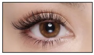 マツエク・マツパ 六花〜rikka〜所属・六花 〜rikka〜のマツエク・マツパデザイン