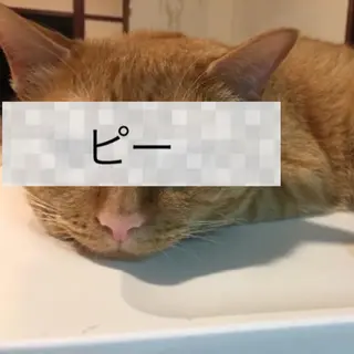 ネイル kiki nail 二子玉川のネイルデザイン