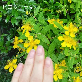 メンズ ネイル ハンドケア＆ネイルケア桃の木所属・ケアリスト🍀 マリユキのネイルデザイン