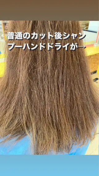 セミロング カラー 横田 尚登のヘアスタイル