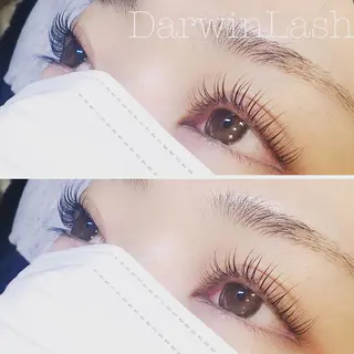 マツエク・マツパ まつげと眉毛のお店Sakura Lash【サクララッシュ】所属・【ダメージケア特化】 🌸 サクララッシュの眉毛・アイブロウイメージ