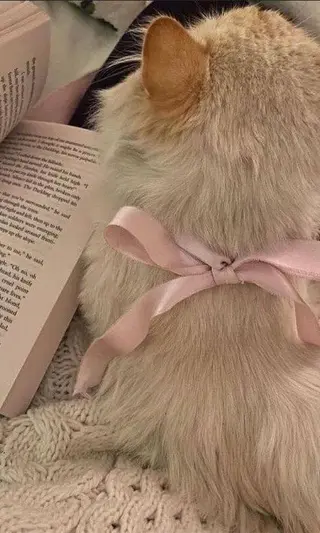 マツエク・マツパ eyelist. mizuki🐈‍⬛のマツエク・マツパデザイン