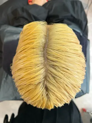 ショート 堀江 /木下椋麻のヘアスタイル