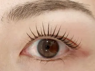 マツエク・マツパ eyelash&eyebrow Lupinus【ルピナス】所属・Lupinus 南草津店のマツエク・マツパデザイン