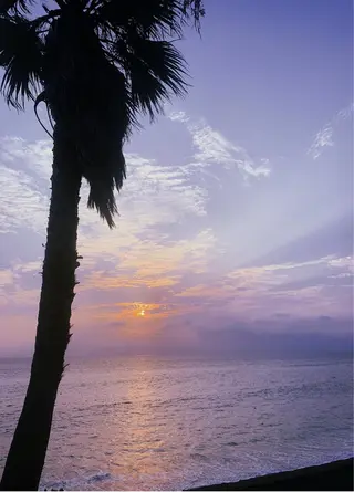 𝐘𝐎𝐒𝐇𝐈 𝐌𝐈🌞🏝のマツエク・マツパデザイン