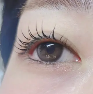 マツエク・マツパ Melia Chieのマツエク・マツパデザイン