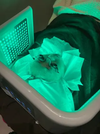 眉毛×肌質改善🫧 高岳/新栄町✨YUUの眉毛・アイブロウイメージ