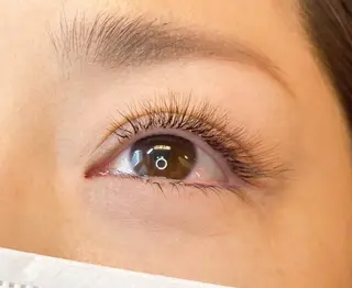 マツエク・マツパ まつげと眉の専門店　Sylph所属・西村 ちひろのマツエク・マツパデザイン