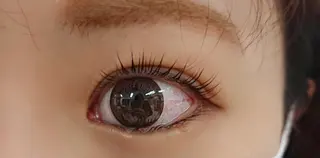 マツエク・マツパ cocolash　町屋店所属・cocolash 🧸のマツエク・マツパデザイン