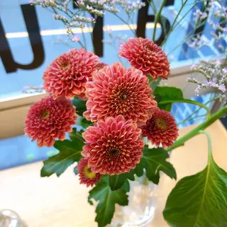 マツエク・マツパ なかむら 🪡のマツエク・マツパデザイン