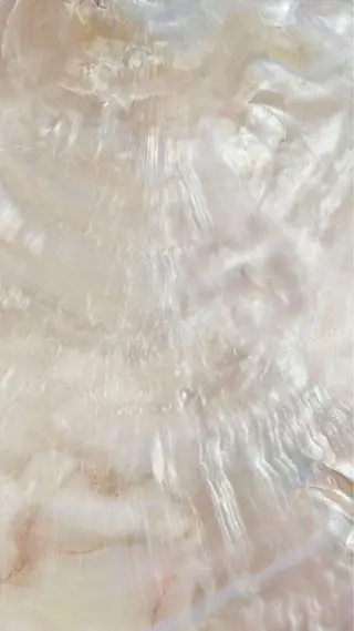 Oct 中目黒ykのマツエク・マツパデザイン