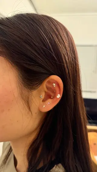 B.napus/mimi2bo所属・B.napus Nanohaのその他イメージ