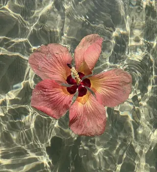 マツエク・マツパ Bianca AKARIのマツエク・マツパデザイン