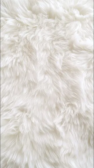 alice tokyo 青栁★の眉毛・アイブロウイメージ