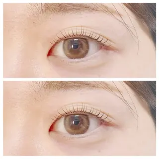 マツエク・マツパ plume eyelashのマツエク・マツパデザイン