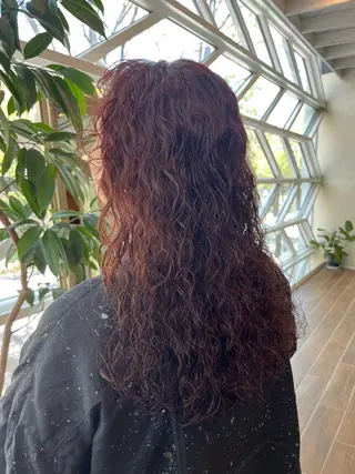 ロング パーマ そね こまちのヘアスタイル