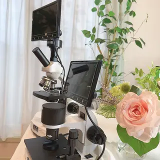 オーガニックメディカルLab 赤池所属・石邨 美樹のエステ・リラクイメージ