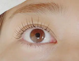 マツエク・マツパ Lotus.所属・Lotus. makoのエステ・リラクイメージ